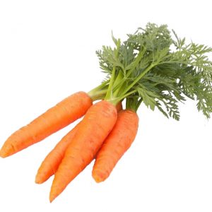 CAROTA