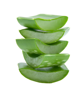Aloe barbadensis_miller