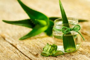 aloevera