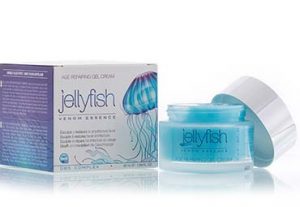 jellyfish medusa
