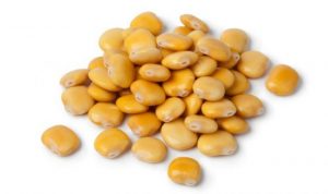 lupini gialli
