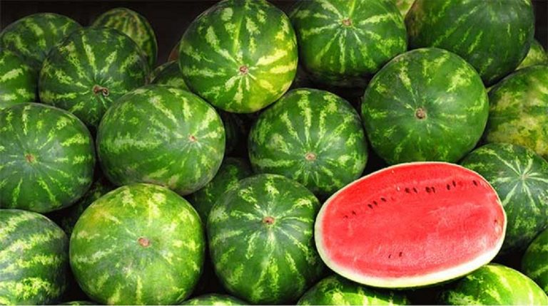 L’anguria fa ingrassare: calorie e valori nutrizionali L’anguria fa ingrassare: calorie e valori nutrizionali